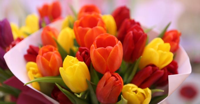 Secretele floristului: cum să păstrezi lalelele proaspete mai mult timp