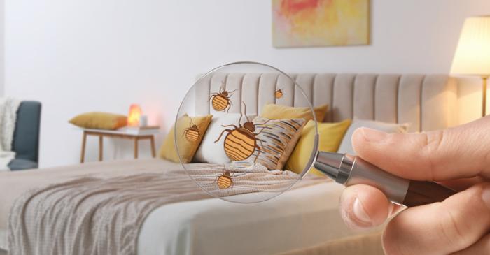 Cât de periculoase sunt, de fapt, camerele de hotel