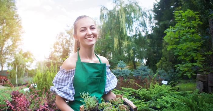 Cojile de ouă transformă grădina într-un paradis al florilor sănătoase