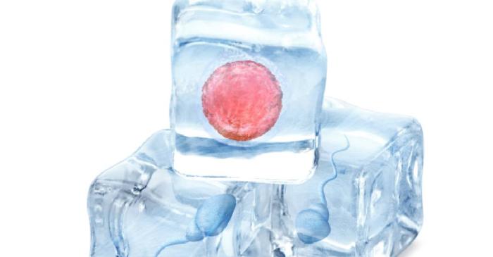 Congelarea ovocitelor sau a embrionilor: care este cea mai bună alegere pentru viitorul tău reproductiv?