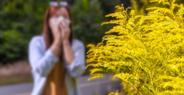 Cum să ameliorezi natural alergiile de primăvară?