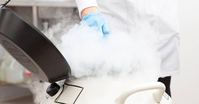 Fertilitatea feminină se reduce dramatic după 30 de ani: soluția este criogenarea ovocitelor