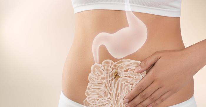 Microbiomul intestinal influențează decisiv sănătatea fizică și mentală