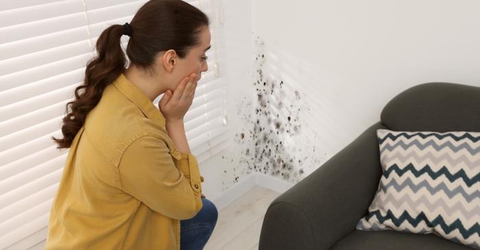 O soluție naturală elimină mucegaiul din casă fără vopsea sau chimicale toxice