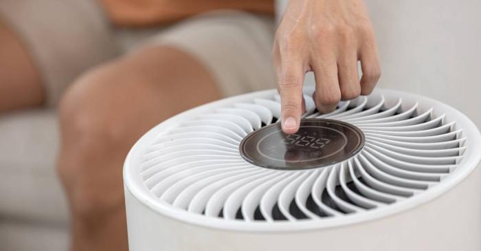 Polenul de ambrozie face aerul din locuințe mai poluat decât cel de afară