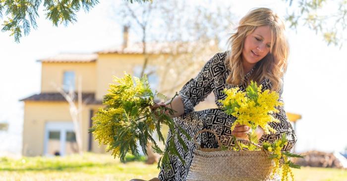 Ce plante din grădină riști să distrugi dacă le tunzi toamna?