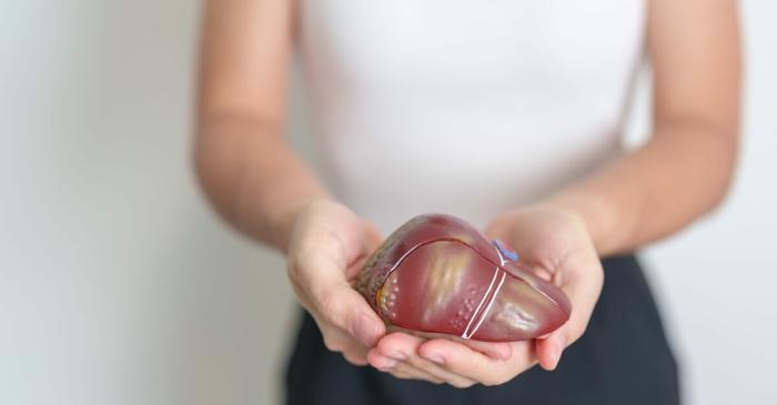 Un gastroenterolog de la Harvard dezvăluie 5 semne ale ficatului gras care pot fi detectate acasă