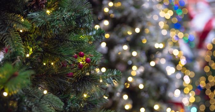 Brăzii artificiali de Crăciun costă între 120 și 1.800 de lei în România