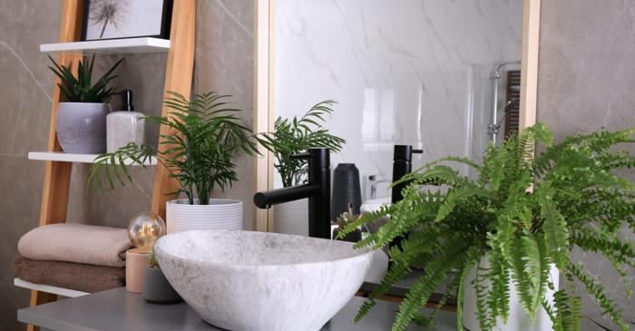 Plantele tropicale transformă baia într-un sanctuar verde care purifică aerul și previne mucegaiul