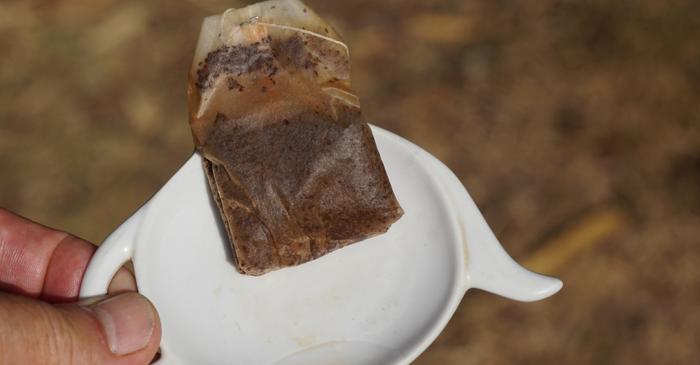 Plicurile de ceai folosite îmbunătățesc solul și stimulează creșterea plantelor