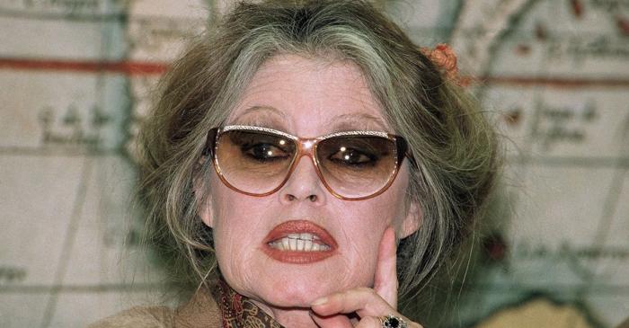 Brigitte Bardot, actrița care a renunțat la faimă pentru a apăra animalele, a murit la 91 de ani