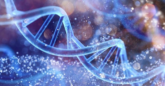 Postul încetinește îmbătrânirea prin declanșarea unui proces de regenerare celulară