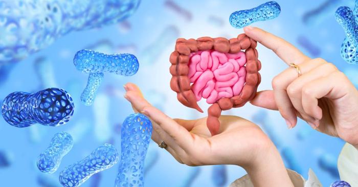 Un cercetător român din topul mondial Stanford explică cum alimentele ultraprocesate afectează creierul prin microbiomul intestinal