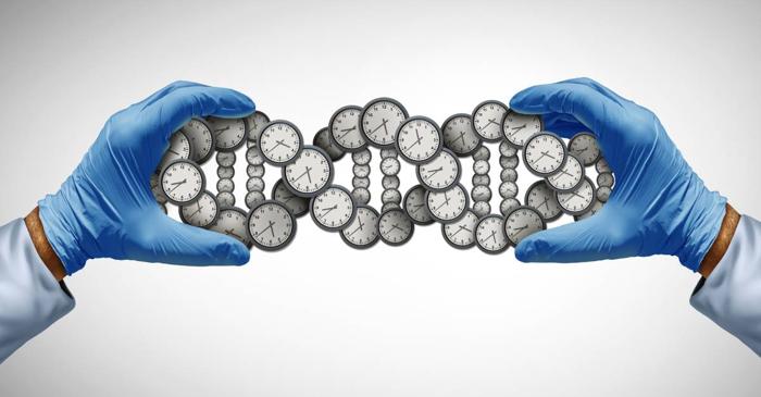 Vârsta biologică a corpului poate fi acum măsurată și încetinită