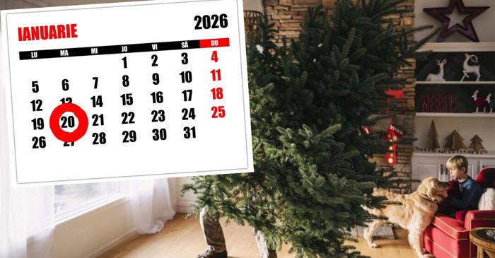 Bradul de Crăciun păstrat după 20 ianuarie aduce ghinion, potrivit superstițiilor românești