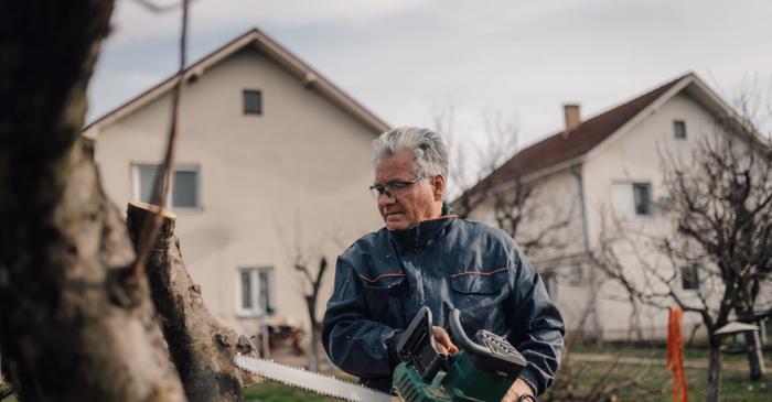 Un proprietar are dreptul să taie rădăcinile, dar nu și crengile copacului vecinului