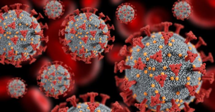 De ce devin ciupercile din aerul pe care îl respirăm o amenințare sanitară?