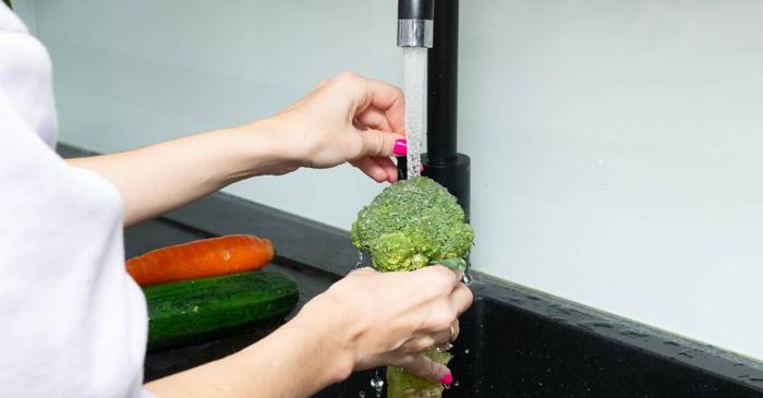 Broccoli a fost cultivat în regiunea mediteraneană acum peste 2.000 de ani