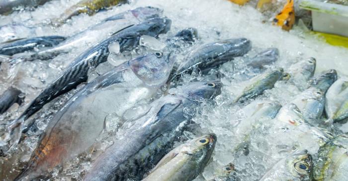 Cinci alimente vegetariene oferă mai multe proteine decât peștele