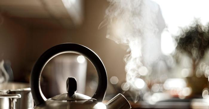 Monedele în ceainic reduc depunerile de calcar, dar nu purifică apa