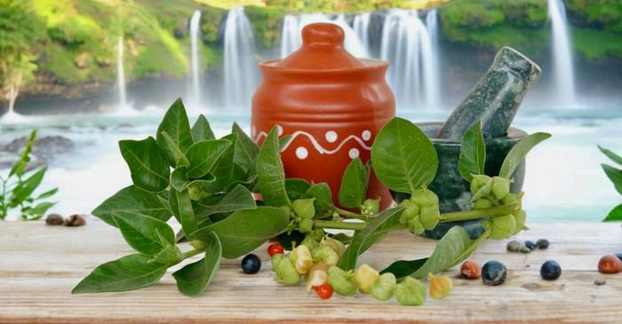 Ashwagandha reduce cortizolul și îmbunătățește somnul în două luni de utilizare