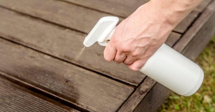 Ce ingrediente din bucătărie alungă cele mai comune insecte din casă?