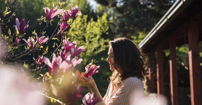 Magnolia plantată în aprilie aduce noroc și prosperitate în tradiția populară