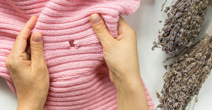 Moliile din dulap pot fi eliminate definitiv cu câteva reguli simple de prevenție