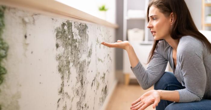 Mucegaiul din locuință provoacă afecțiuni respiratorii și o oboseală persistentă