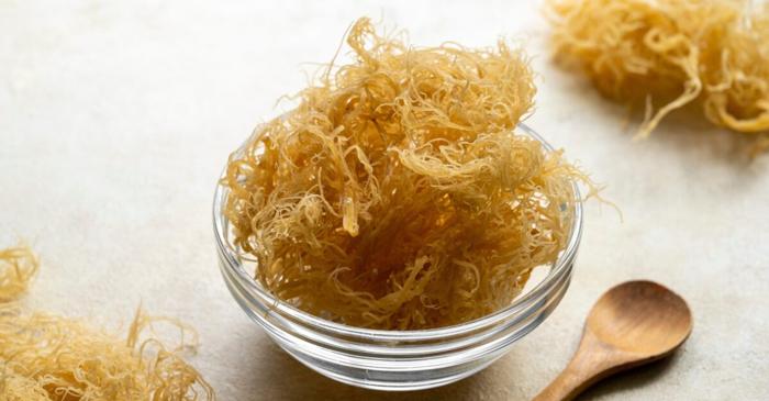 Muşchiul de mare, promovat ca un miracol, are beneficii nedovedite și riscuri ignorate