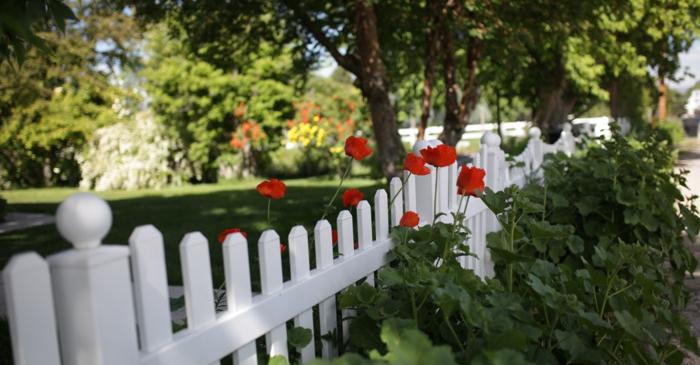 O culoare simplă a gardului poate ține porumbeii la distanță