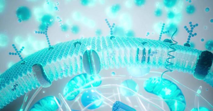 Sistemul digestiv se reglează singur după excesele de sărbători fără măsuri extreme