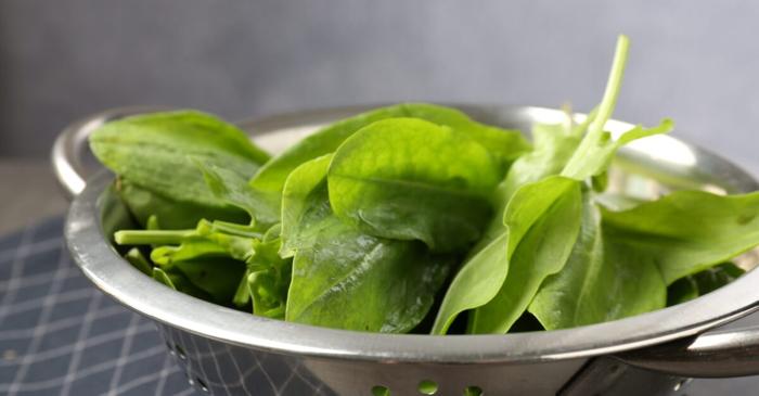 Ștevia românească revine în atenția nutriționiștilor pentru profilul său bogat în vitamine și minerale
