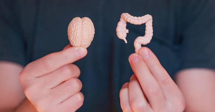 Stresul de sărbători perturbă digestia și schimbă apetitul la majoritatea oamenilor