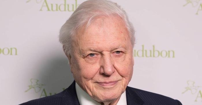David Attenborough, la 100 de ani, dezvăluie ce a scos din farfurie pentru viață lungă