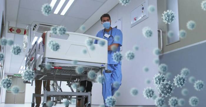 Niciun pacient infectat cu Hantavirus nu s-a recuperat complet după șase luni
