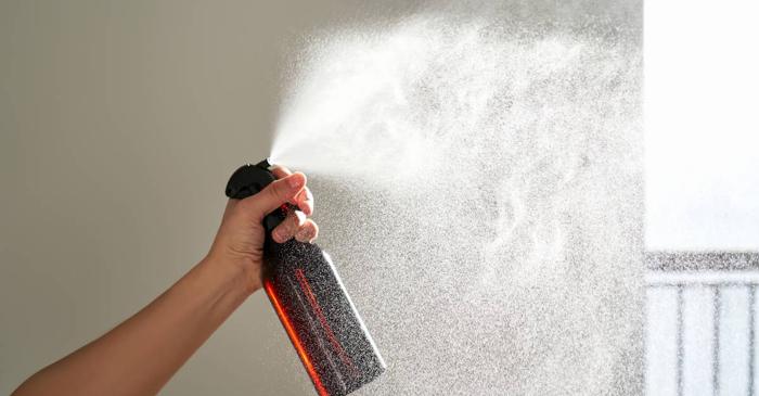 Rețeta cu două ingrediente care neutralizează mirosurile la sursă, fără chimicale