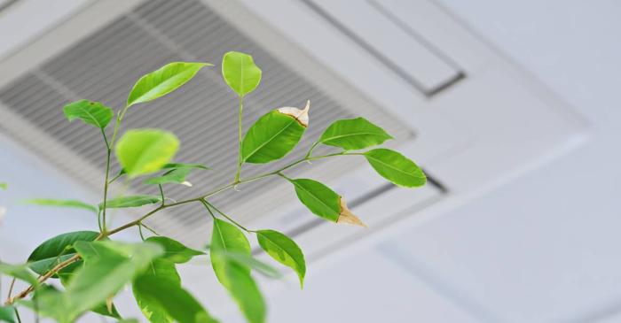 Aerul din biroul tău climatizat poate fi mai toxic decât cel de pe stradă